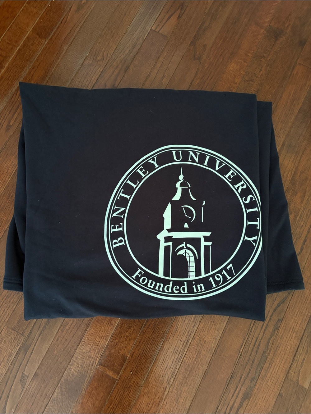 Bentley University Large Blanket
